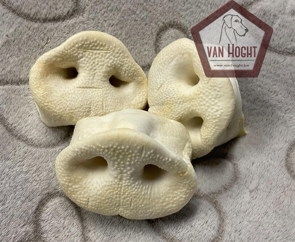 Varkensneus honing (150stuks)